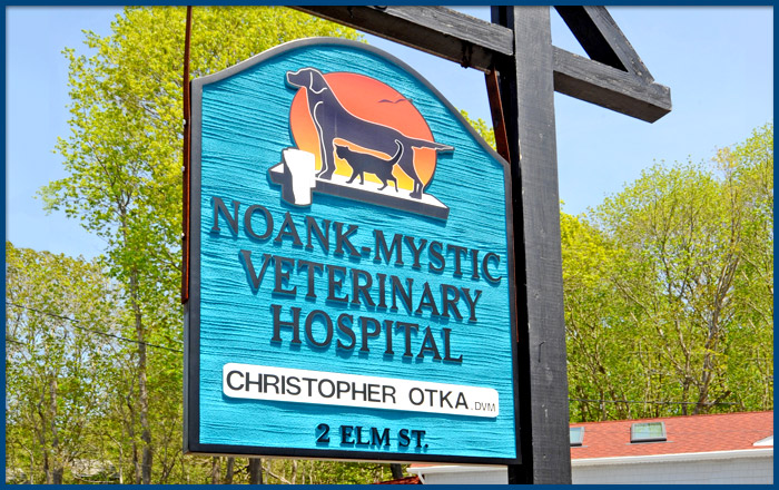 animal hospital, noank